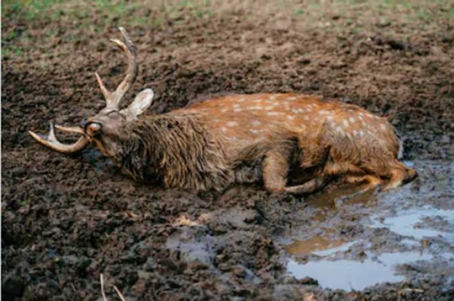 示意图与本文无关。(图/ 取自达志影像)