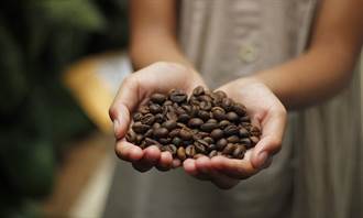 西雅圖咖啡摻低價豆 專家曝7差異