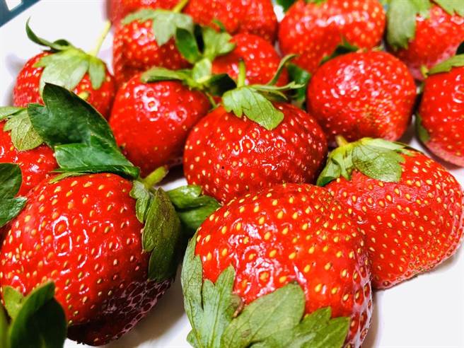 大湖草莓危机 价格恐崩盘县府鼓励轮作 时事 中时