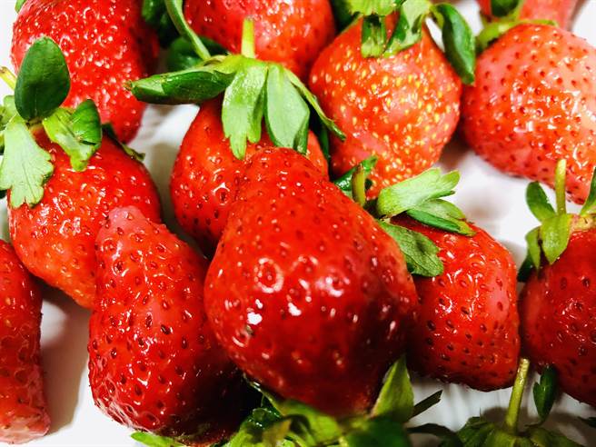 大湖草莓危機 價格恐崩盤縣府鼓勵輪作 生活 中時