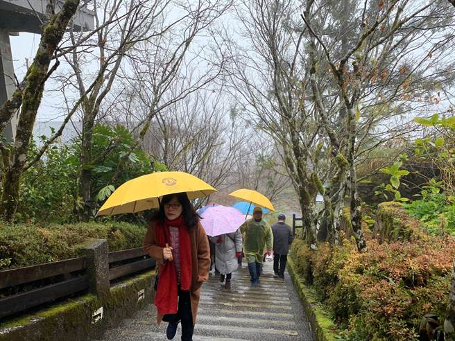 天氣冷颼颼遊客湧入宜蘭太平山盼雪景 生活 中時