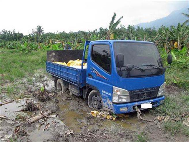 鄭姓竊賊開的車子因車輪陷入泥濘處，因此失風遭逮，偷來的香蕉就放在車上。（本報資料照片）