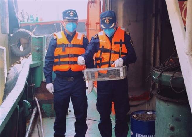 广东佛山海关人员以捕鼠笼将老鼠送检后发现有汉他病毒，随即在海关进行全面消毒。（图／东网）