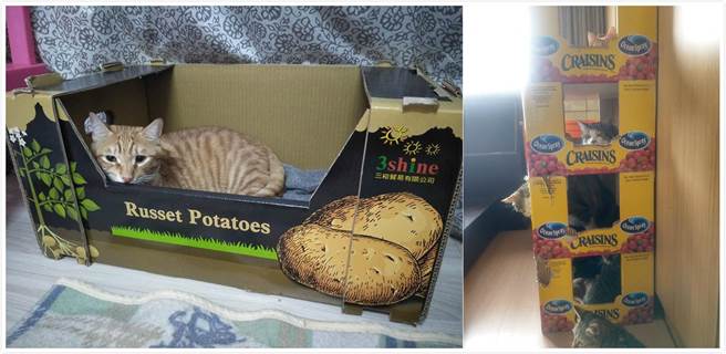 网友另外不吝分享，有其他的纸箱也不错，像是「好市多葡萄」、「鳕鱼香丝」及「马铃薯」的纸箱。（摘自Costco好市多 商品经验老实说）