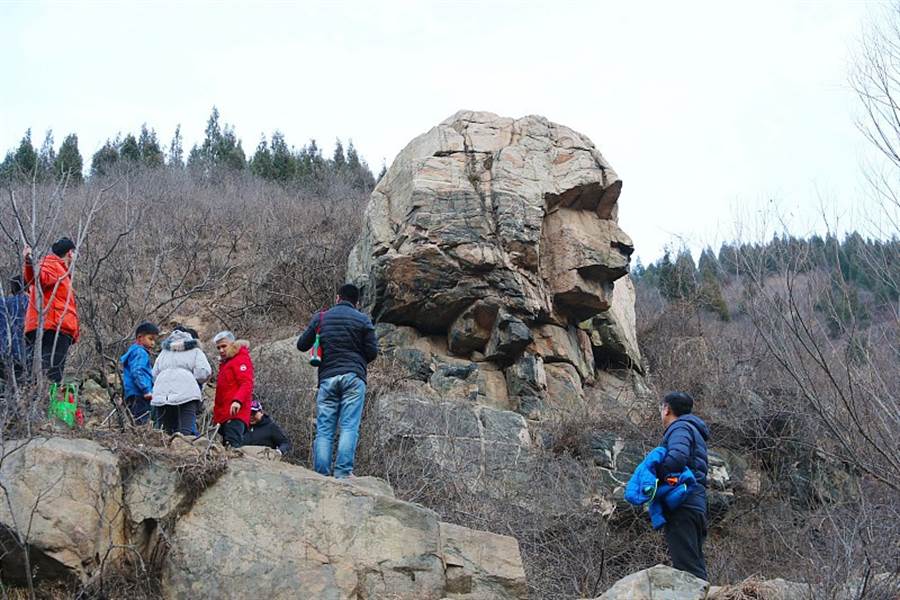 山東濟南山區一岩石神似「獅身人面像」 吸引民眾紛紛觀看打卡，還有人組織上百人的觀光團前往觀賞。（圖／新浪網) 
