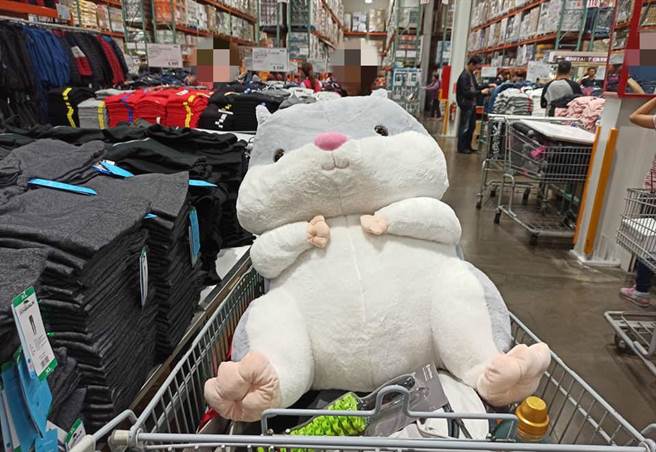 网友在脸书分享，今日在好市多买了巨大仓鼠玩偶，让许多人都被烧到想买。（图／翻摄自脸书社团《好市多商品经验老实说》）