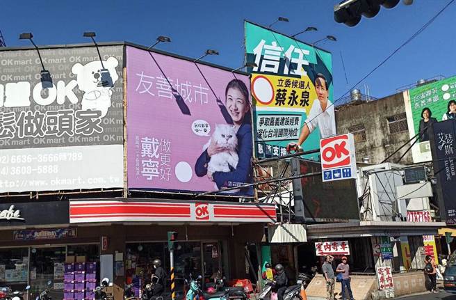 嘉義市無黨籍立委候人戴寧第二波大型看板，特地抱著愛貓入鏡。（戴寧競選總部提供／呂妍庭嘉義傳真）
