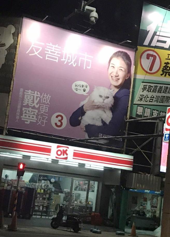 嘉義市無黨籍立委候人戴寧第二波大型看板，特地抱著愛貓入鏡。（戴寧競選總部提供／呂妍庭嘉義傳真）