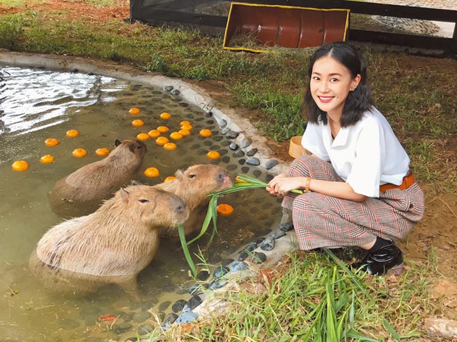 鍾瑶預想退休生活 跟動物工作比人有趣 娛樂新聞 中國時報