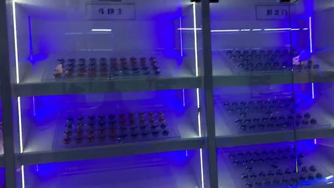 嘉义检调查获萧姓大亨设于嘉义的博赌网站机房 。（嘉义地检署提供／廖素慧翻摄）