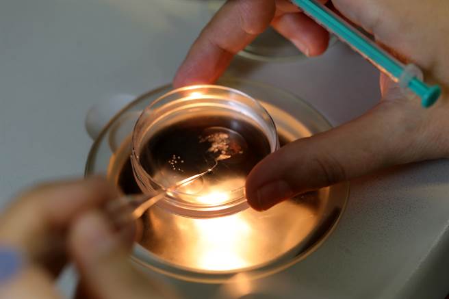 捐卵爽领十万 1年后泪曝惨痛代价(示意图/达志影像)