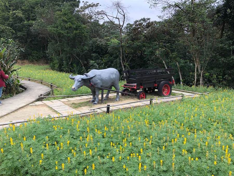 魯冰花與牛車。（圖取自台北旅遊網）