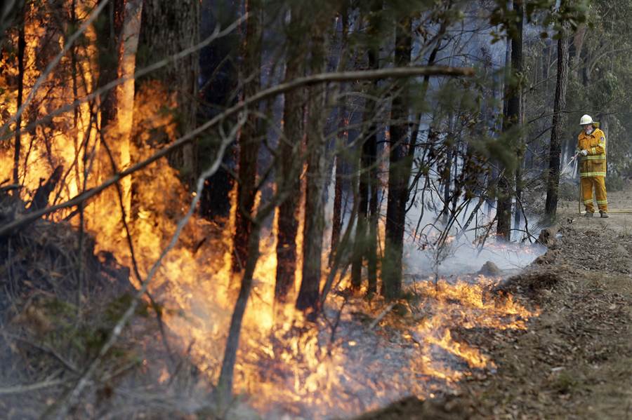 澳洲大火從 2019 年 9 月開始延燒至今。(美聯社)