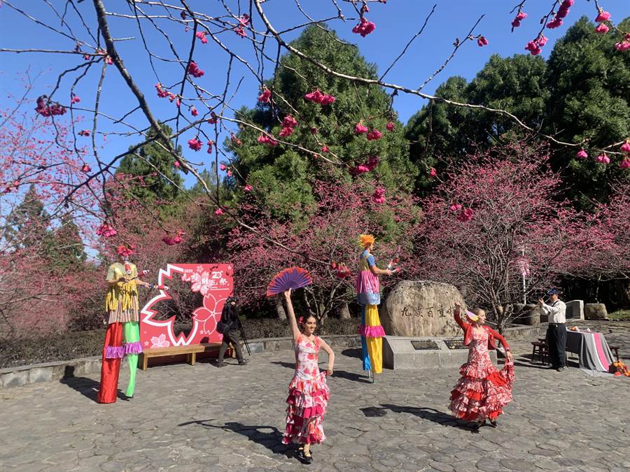 九族文化村櫻花祭時代，推出西班牙舞蹈和特技表演。（廖志晃攝）