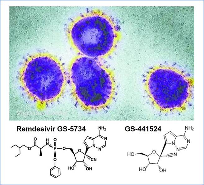 曾用于伊波拉病毒与中东呼吸症候群（MERS)病原体、严重急性呼吸道症候群（SARS）病毒病原体治疗的瑞德西韦，大陆将以紧急程序展开武汉肺炎冠状病毒的临床试验。（图／转自真知拙见KnowledgeHot)