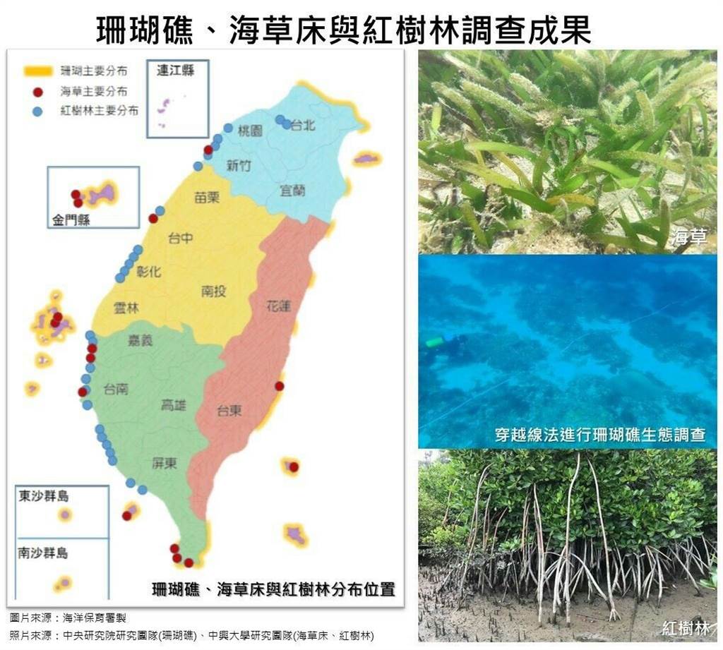 澎湖海草床 南台灣珊瑚礁 台灣海洋生態這網站看得到 生活 中時新聞網