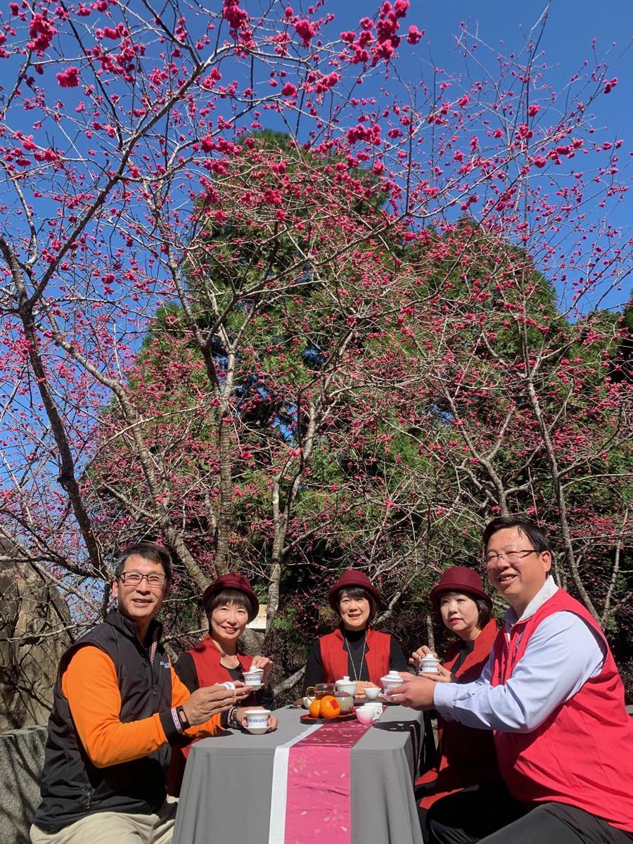 魚池鄉長劉啟帆（右），歡迎大家到九族參與櫻花茶會。（廖志晃攝）