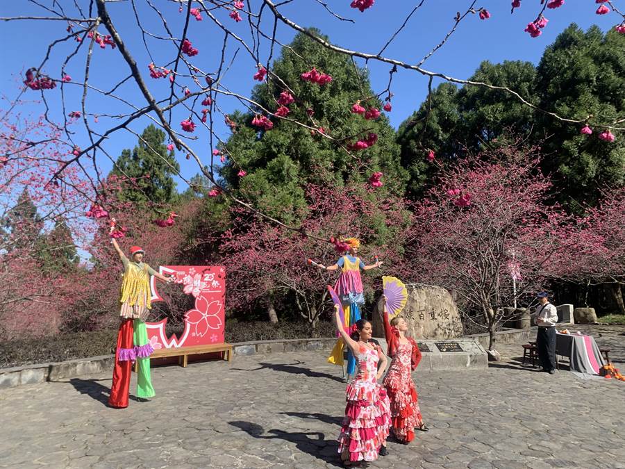 九族櫻花祭期間，推出西班牙舞蹈和特技表演。（廖志晃攝）