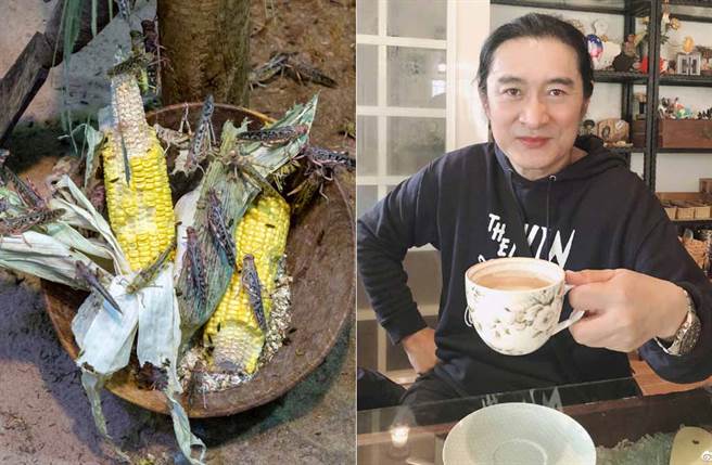 面对来势汹汹的蝗灾，黄安建议民眾吃光抹净4千亿蝗虫大军，万事OK。(左／达志影像shutterstock提供、右／翻摄自黄安微博)