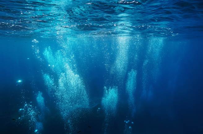 全球僅1隻他海底奇遇超夢幻生物- 搜奇- 網推