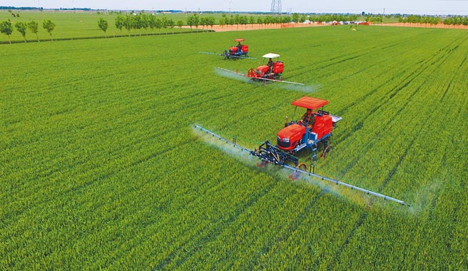 2019年5月15日，河北農民使用機械設備在麥田噴灑農藥。（新華社）
