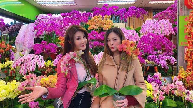 劉真和楊麗菁過年前一起去逛花市。（圖／翻攝自臉書）
