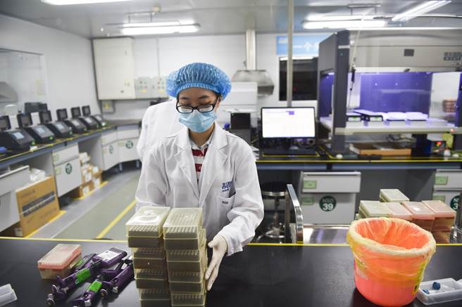 深圳华大基因总部内工作人员在基因测序实验室工作。（图／新华社）