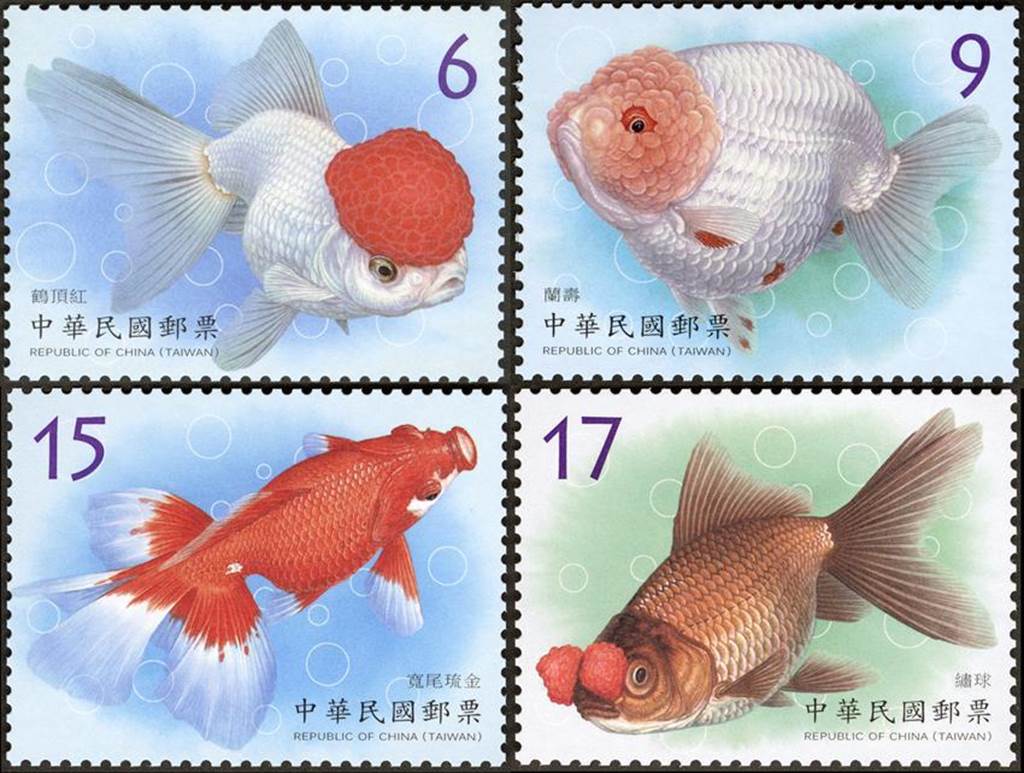 郵政將發行 觀賞水族生物郵票 金魚 第2輯 財經 工商