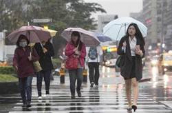 明東北季風減弱2地方有雨 下周新鋒面襲臺再變天