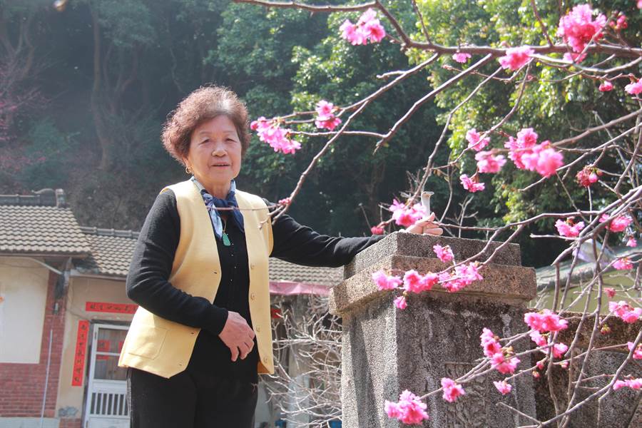 員林市前湖水里里長娘吳黃秀齡站在老家三合院前，欣賞美麗的櫻花綻放景色，這片美景也成為眾多親朋好友的賞櫻祕境。（謝瓊雲攝）