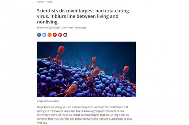 專家揭恆河「噬菌體」曾滅霍亂，有望成人類救星（圖／Live Science）