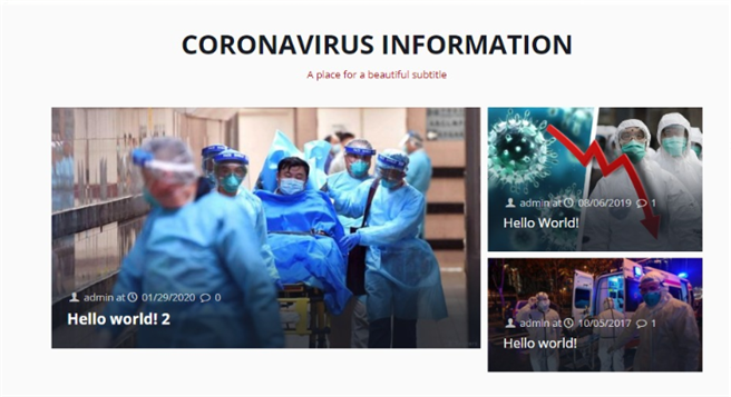 以新型冠状病毒为题的偽装网站(图3)。(Check Point提供／黄慧雯台北传真)