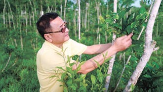 石城總經理朱俊宏 尋找有益人體的茶元素