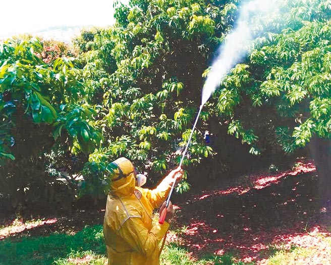 竹市府呼籲農友對於植物的防疫不能輕忽。（新竹市政府提供）