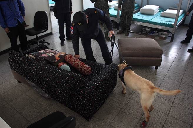 陆军缉毒犬扫毒。（陆军提供）