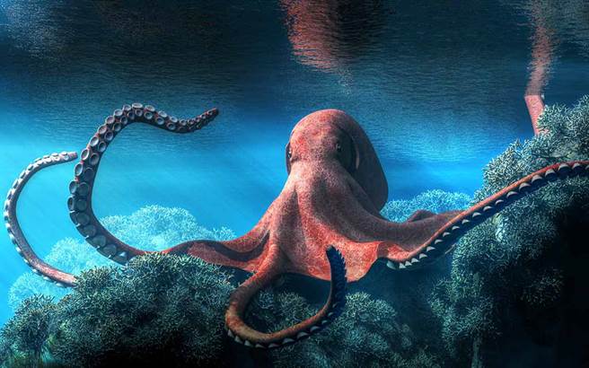 外星人為何都設計成章魚模樣 竟是牠們太聰明 搜奇 網推