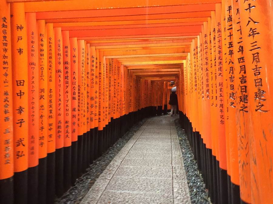 日本京都受外國觀光客喜愛的伏見稻荷大社的鳥居長廊。(黃菁菁攝)