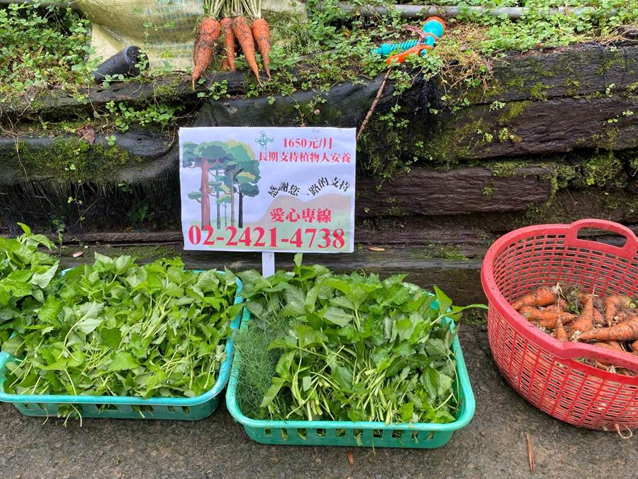  愛要集「食」 基隆社區大學，攜手創世來守護植物人。（創世提供／吳康瑋基隆傳真）