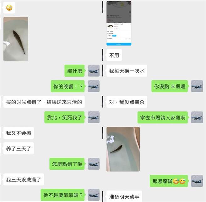 大陸朋友網購買魚忘記點「宰殺」(圖/由網友Chen ChenChen 授權提供)