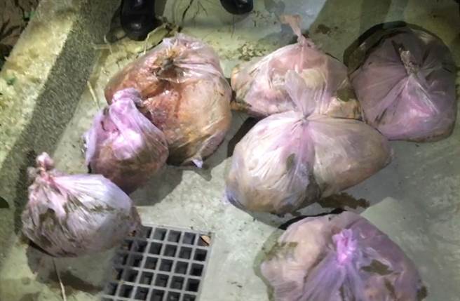 警方在朱男住家社区花圃挖出7个装有尸块的塑胶袋。（翻摄照片／王扬杰新北传真）