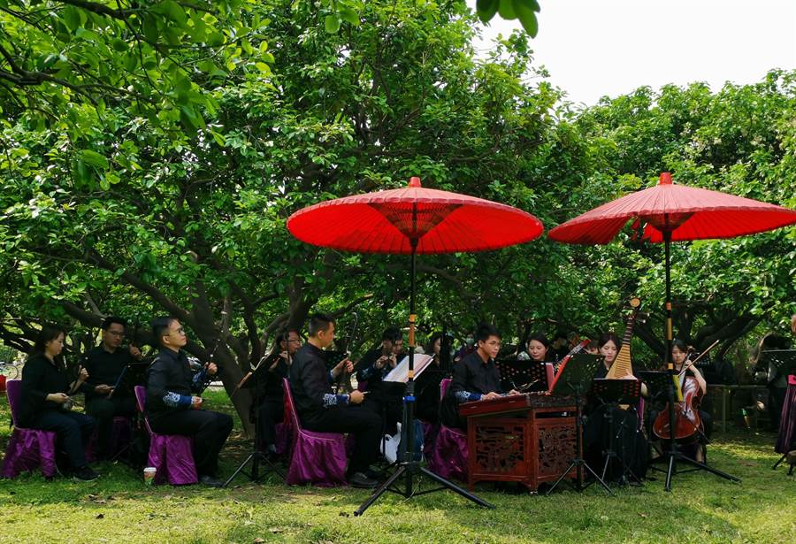 臺南柚花藝術節「柚花巷茶席音樂會」21日在綠意盎然的麻豆王家老柚園舉行。（劉秀芬攝）