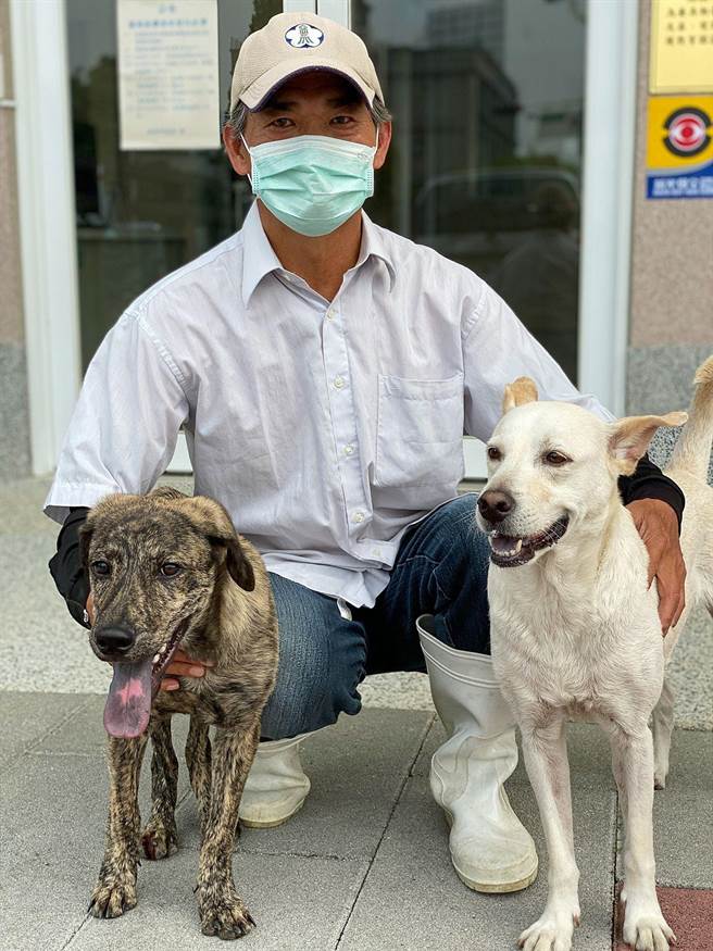 棄養幼犬受傷癱瘓 嘉義獸醫師陪做復健能跑了 刑案 中時