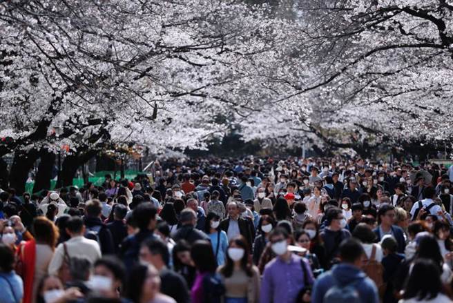 無懼疫情 日本上野公園湧入賞櫻潮忽視禁令席地野餐 國際 中時新聞網