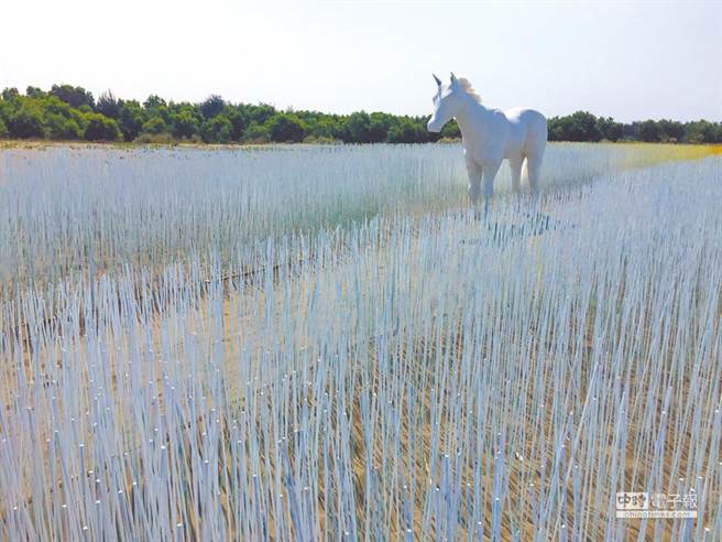 台南安平區漁光島近年致力推展觀光，不料竟發生情侶在沙灘搭起帳篷做愛，里長無奈表示，連烤肉都不行嘿咻。（漁光島／中時資料照）