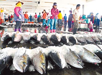日本需求減 鮪魚價崩跌 琉球漁會提議 強制性休漁