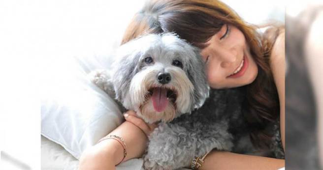 寵物情緣 男友納豆樂當奶爸國光女神陳依依打造貴賓樂園 娛樂 中時新聞網