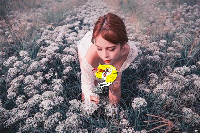 H版李毓芬彎腰採花 網噴鼻血：我放大了！(圖/ 摘自Instagram@ xiangling_c)