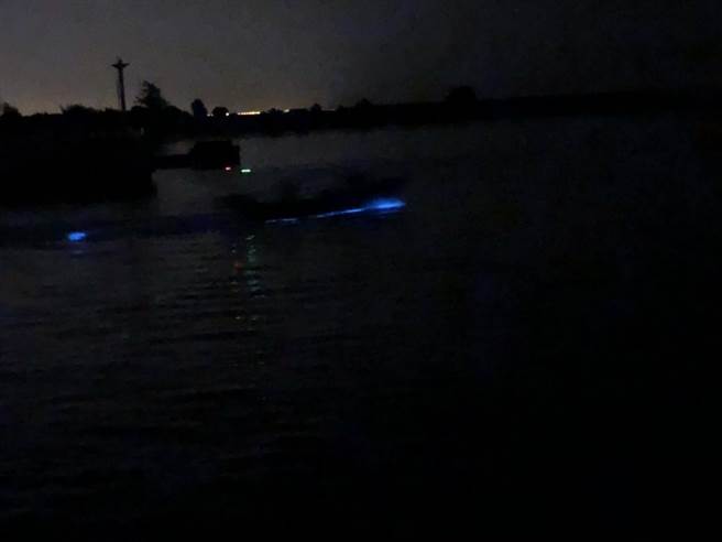 民眾在安平漁港拍到水面上有藍光出現。（台南市環保局提供／程炳璋台南傳真）