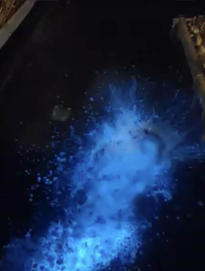 民眾在岸邊向大海潑水，水面一動就出現大量藍光。（黃姓民眾提供／程炳璋台南傳真）