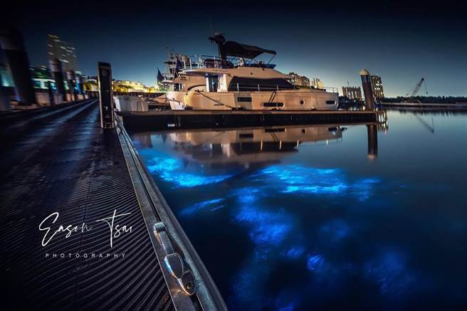 網友Eason Tsai在台南報料公社上傳在安平區海邊拍攝到藍眼淚的照片。（摘自台南爆料公社／程炳璋台南傳真）